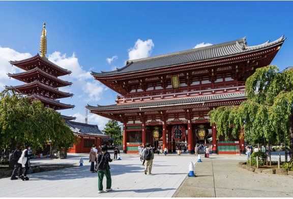 Half-Day Customized Tour